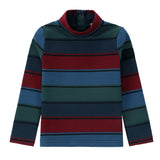 Jewel-Tone Stripe Turtle Neck