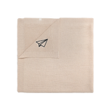 Airplane Blanket