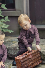 Baby Boys Plum Play Sweatshirt