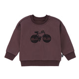 Baby Boys Plum Play Sweatshirt