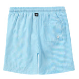 Boys Blue Lemon Swim Trunk