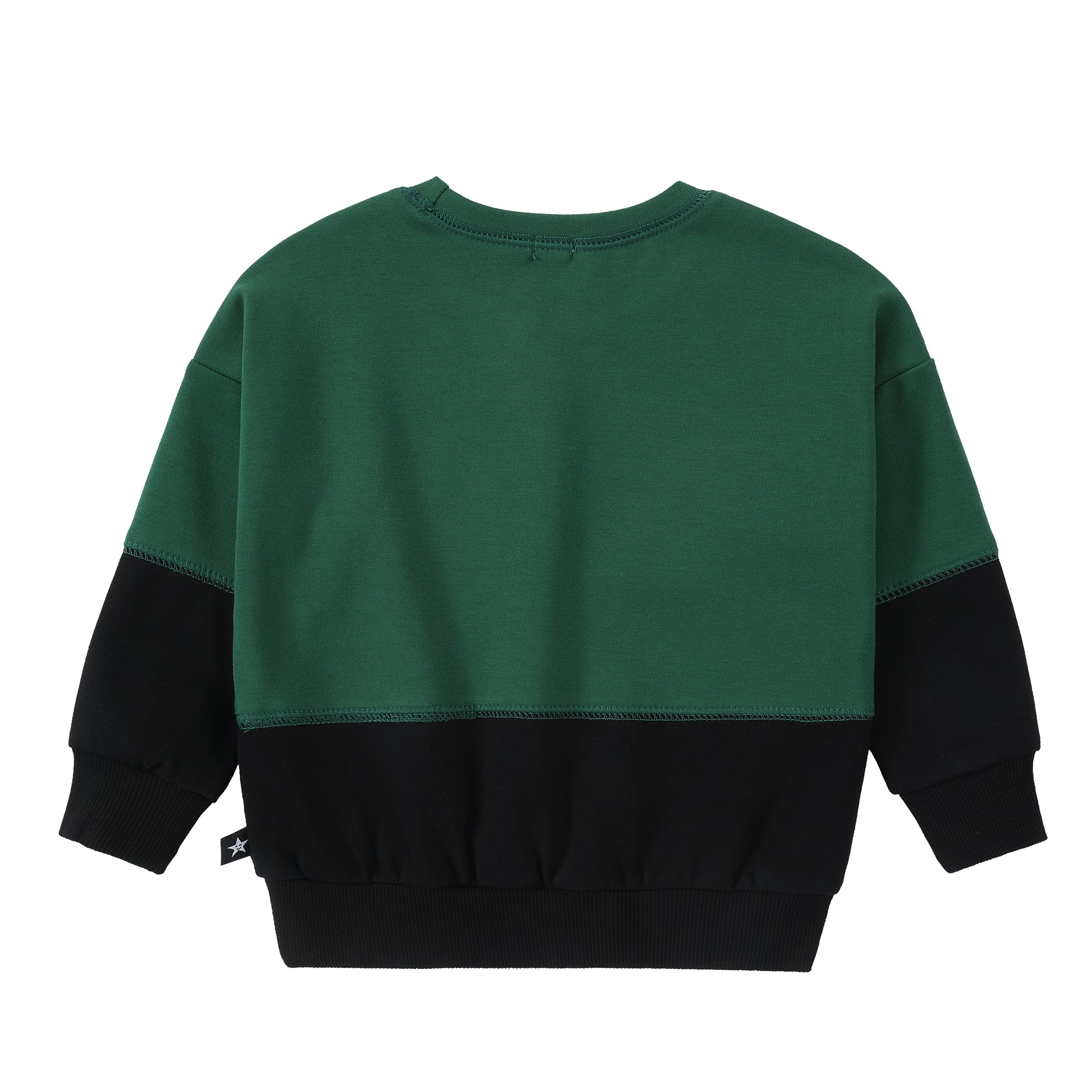 Green Colorblock Sweatshirt With Embroidery