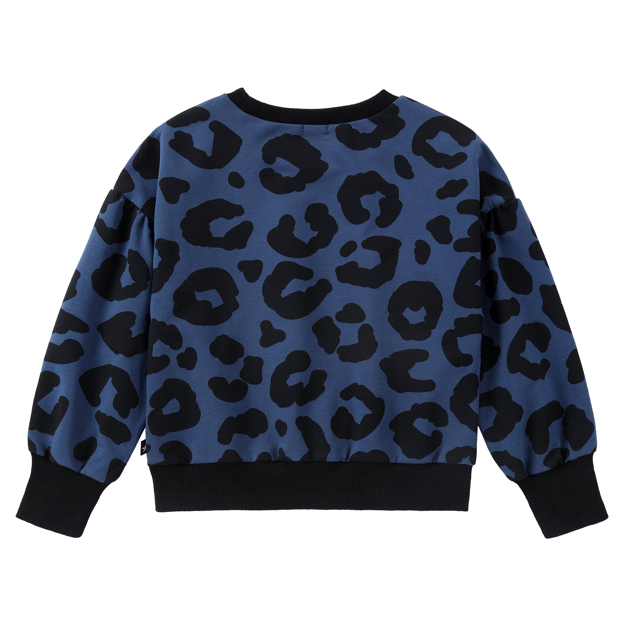 Blue Leopard Print Sweatshirt