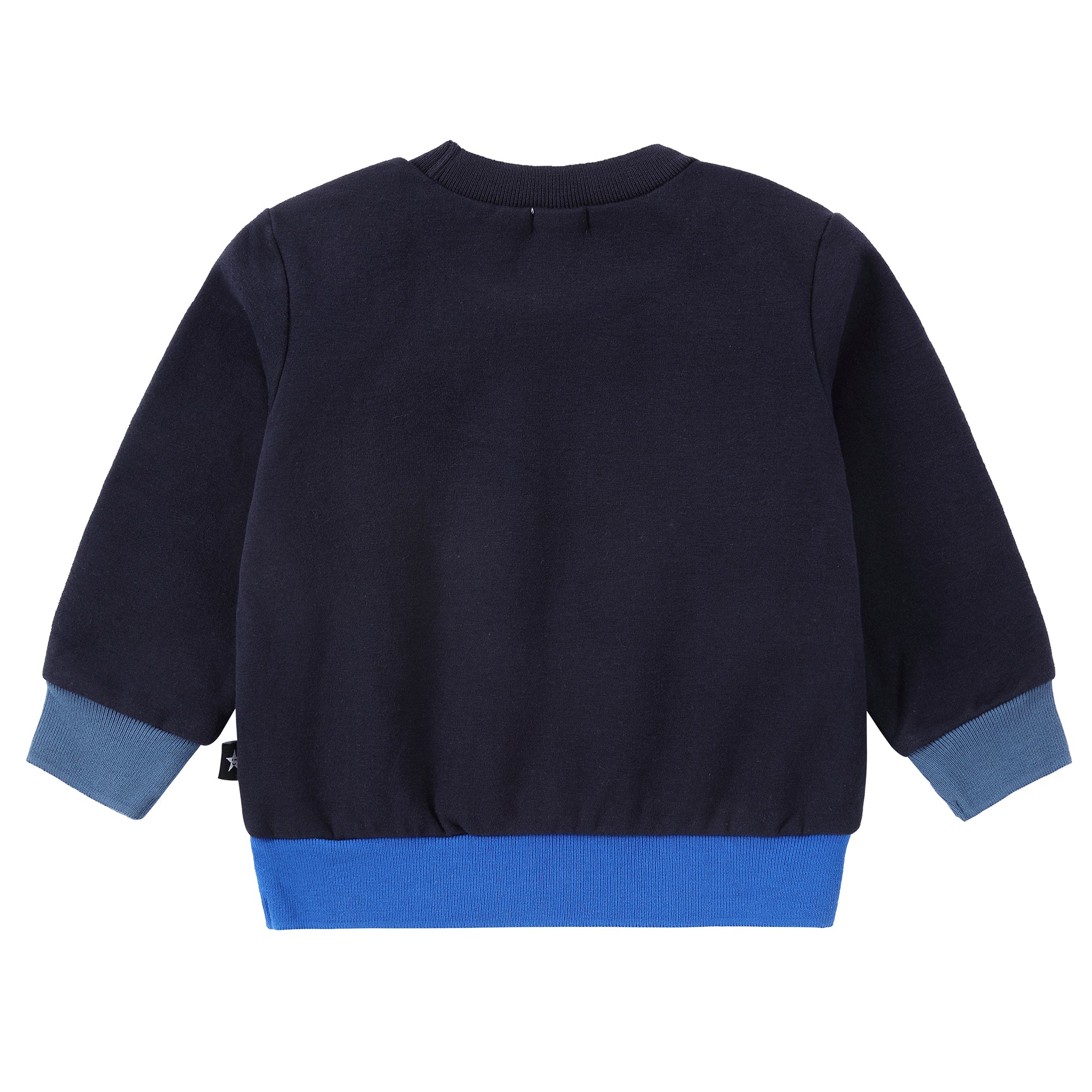 Blue Apple Sweatshirt