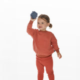 Salmon Carousel Set