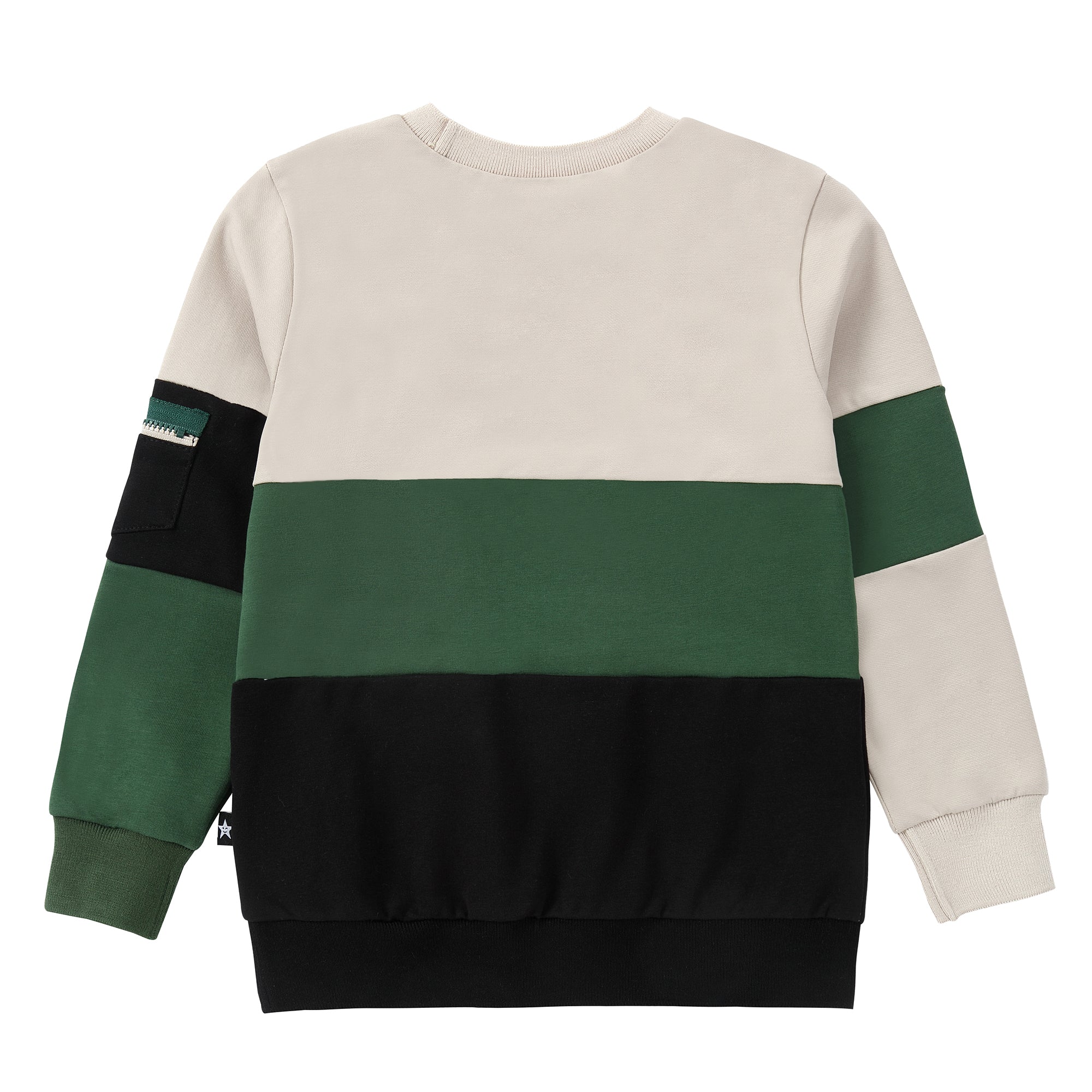 Color Block Sweatshirt