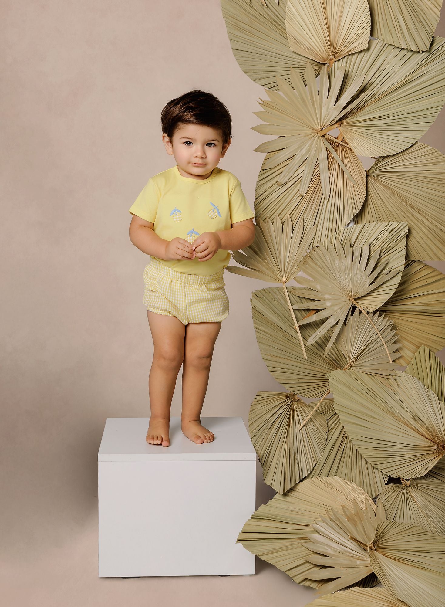 Boys Yellow Lemon T-Shirt/Set