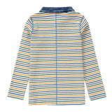 Colorful Stripe Long Sleeve Polo