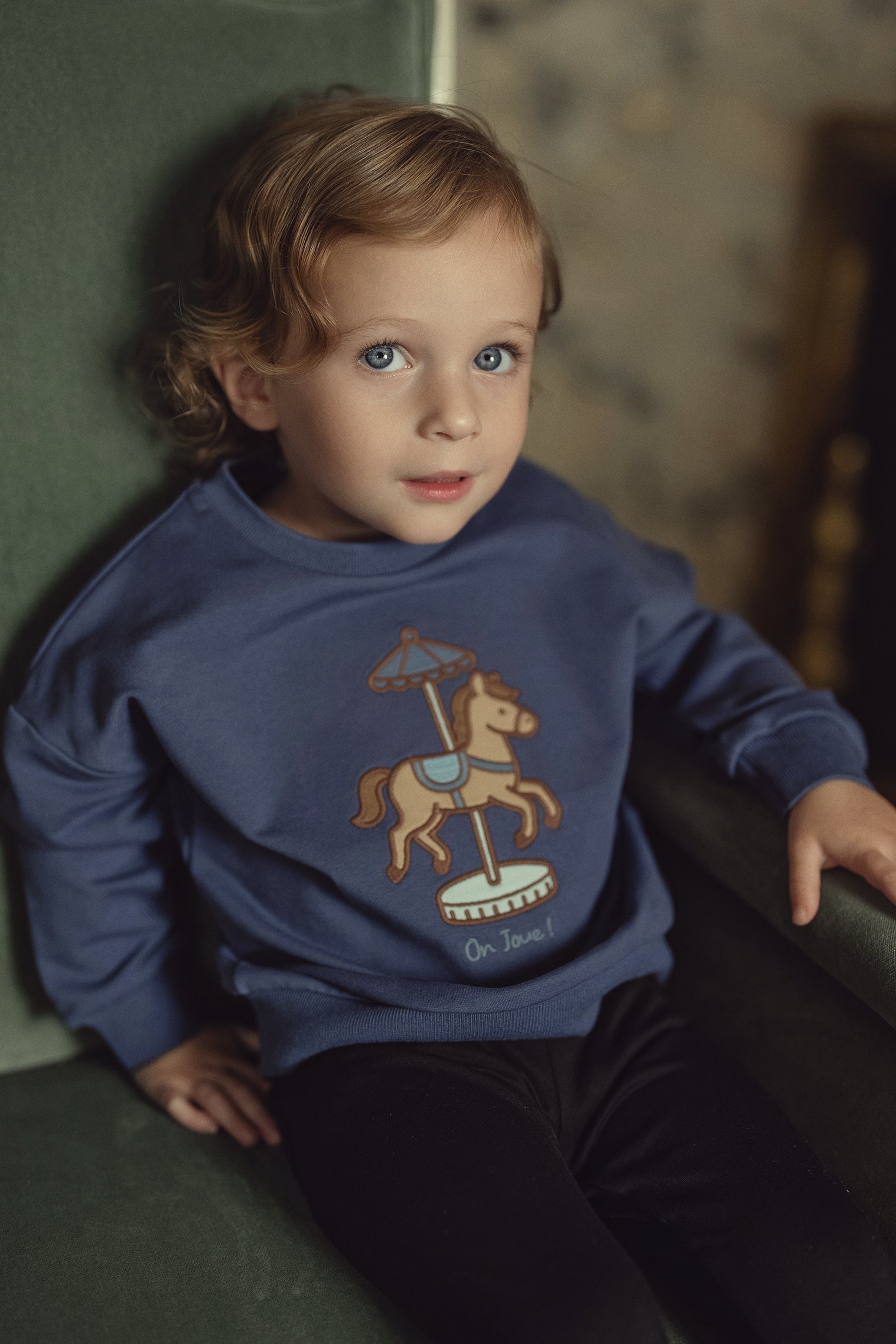 Baby Boys Carousel Sweatshirt