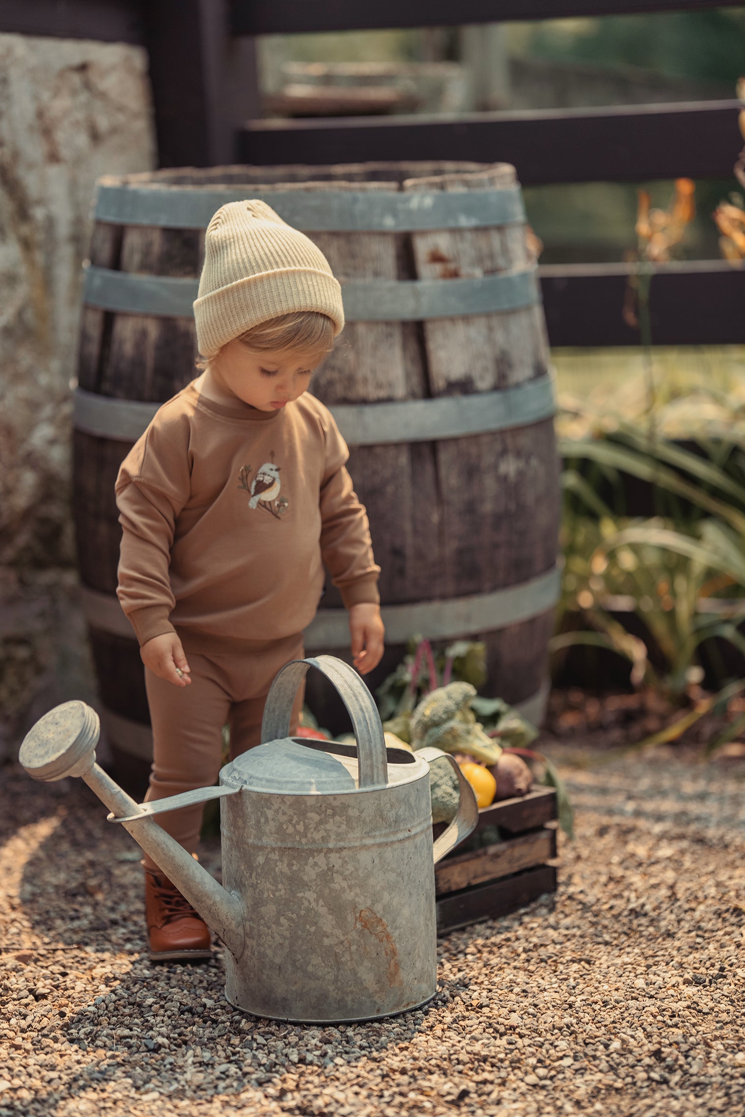 Baby Boys Autumn Nest Sweatshirt Set