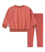 Salmon Carousel Set