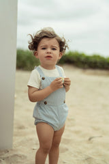 Baby Boys Classic Denim Romper