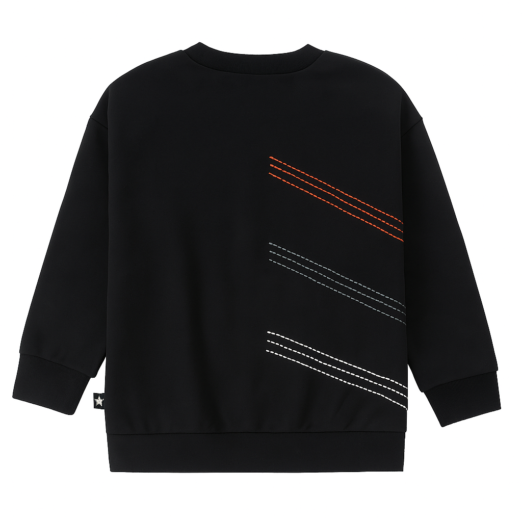 Airplane Sweatshirt