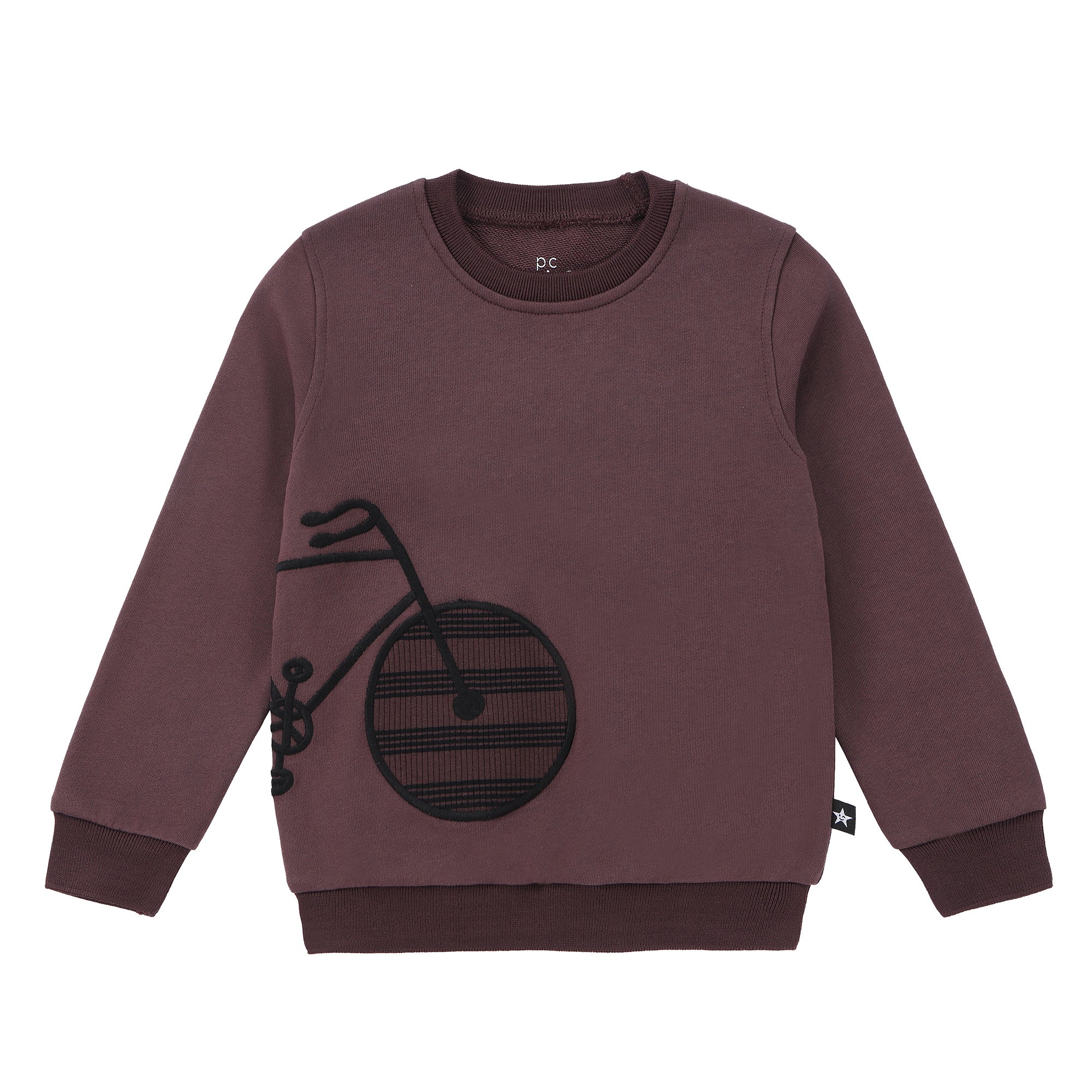 Boys Plum Play Sweatshirt