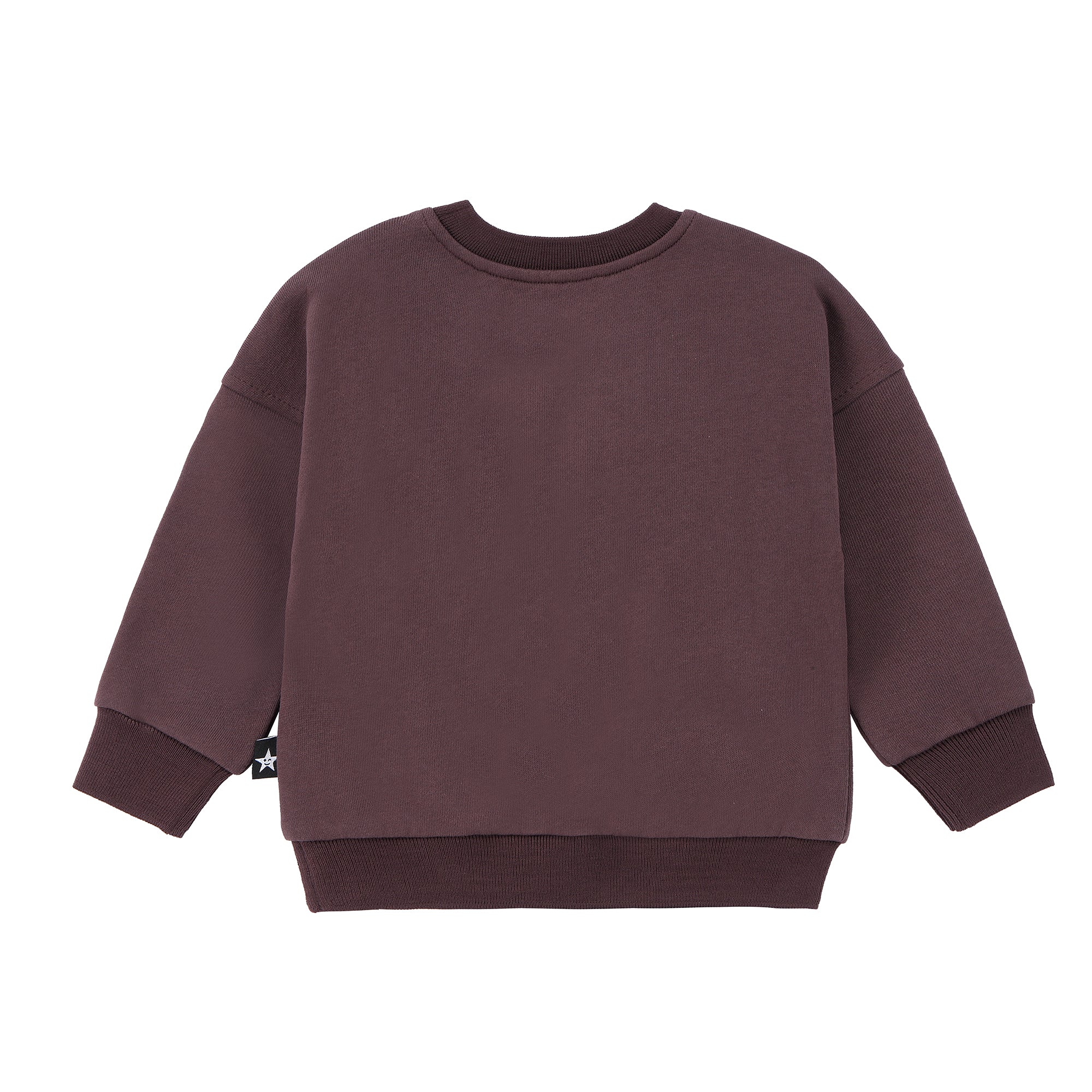 Baby Boys Plum Play Sweatshirt