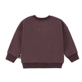 Baby Boys Plum Play Sweatshirt