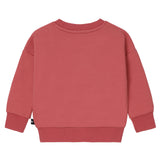 Baby Girls Carousel Sweatshirt