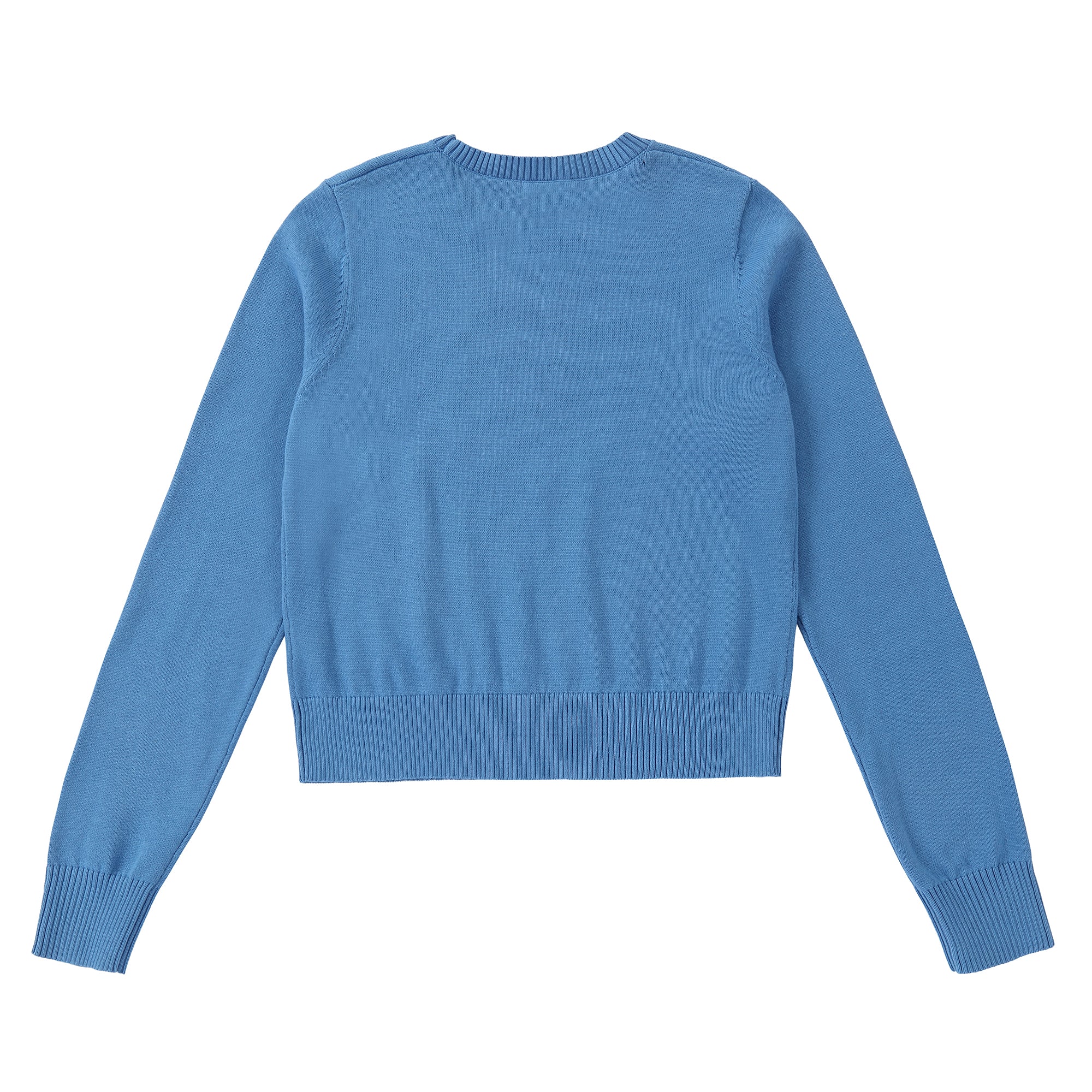 Blue Sweater 157A