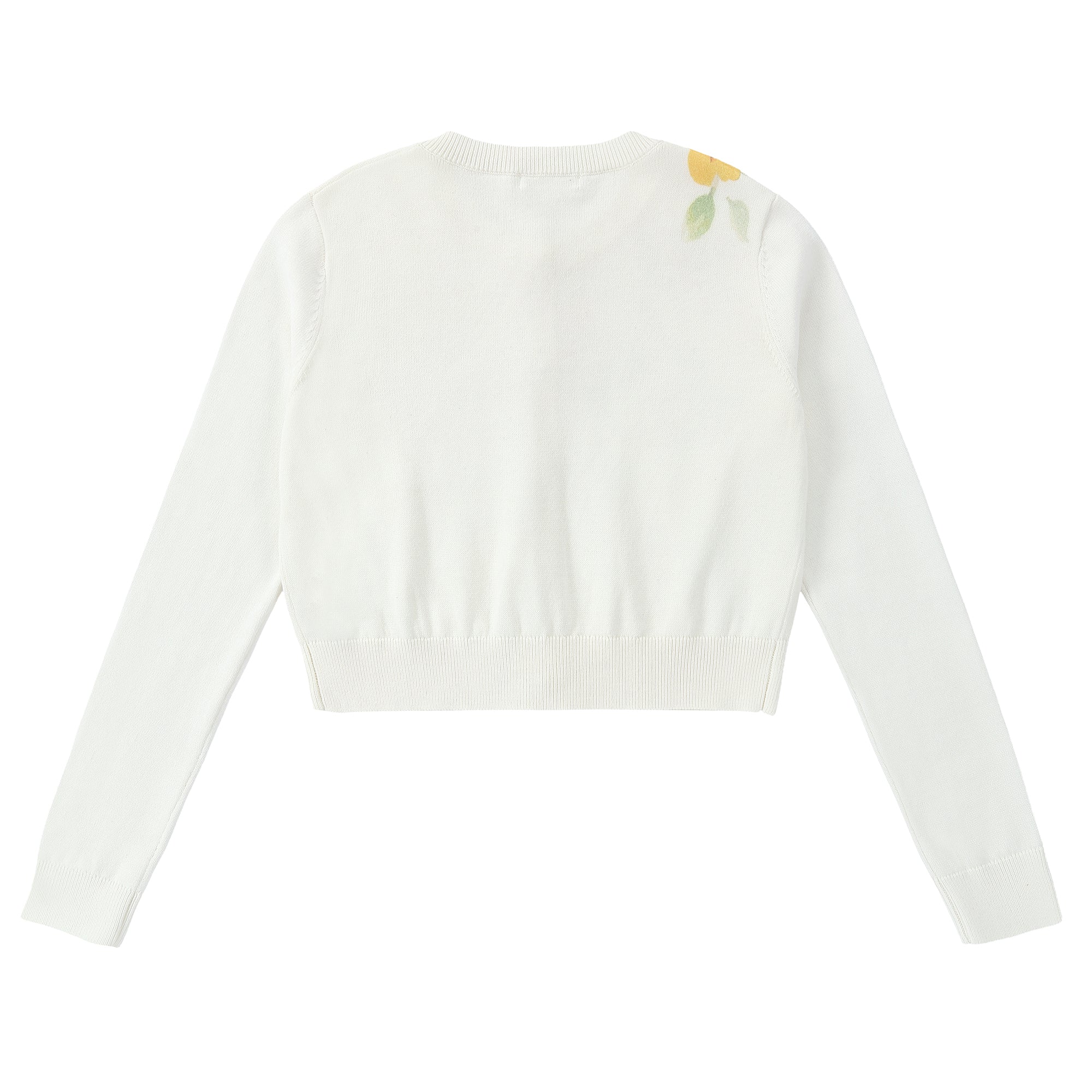 Freshly Picked Knitted Sweater 957