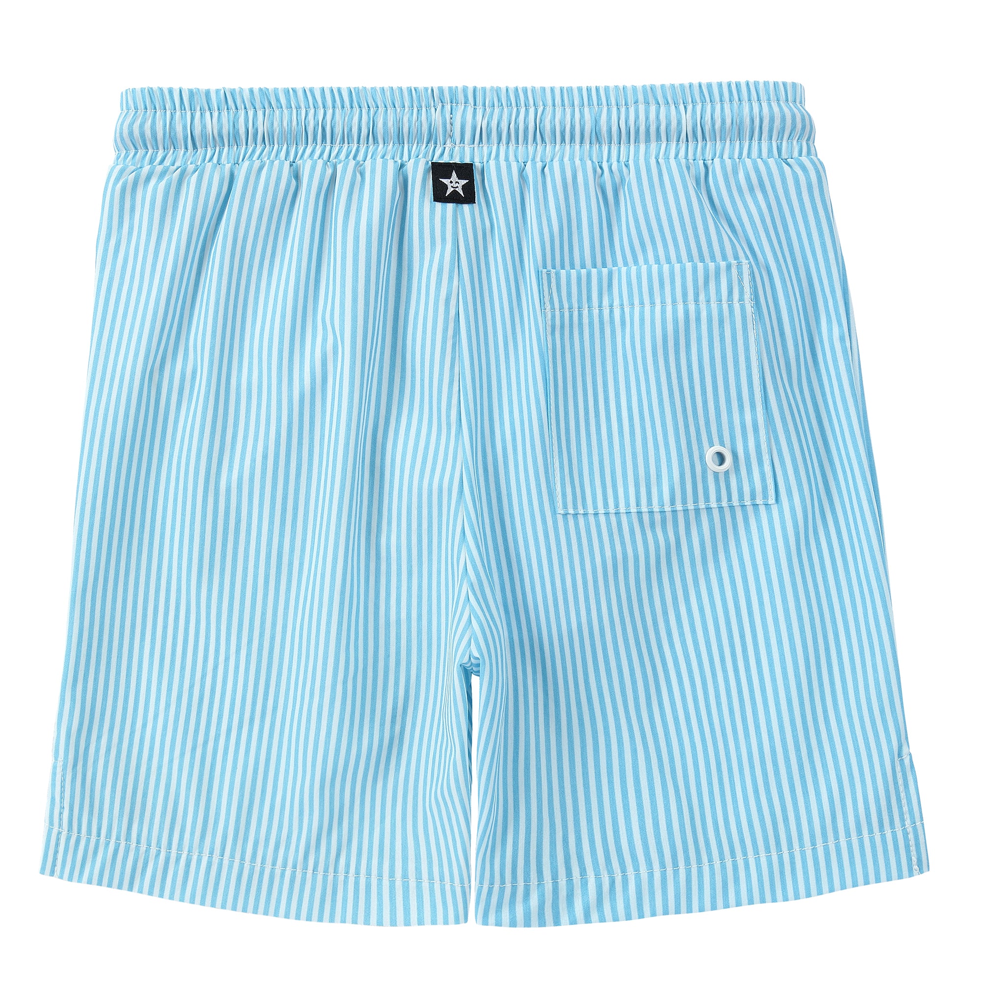 Boys Blue Lemon Swim Trunk